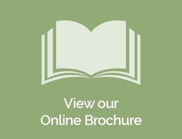 Online Brochure